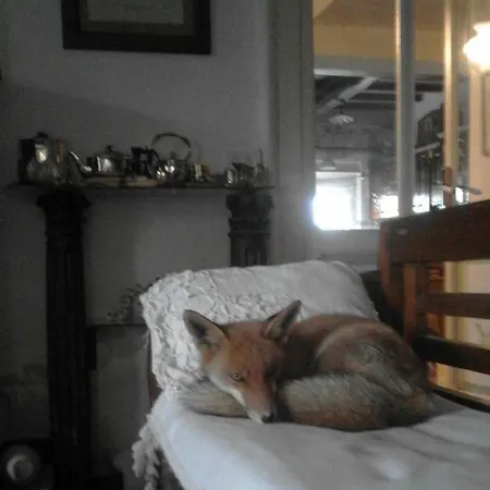 Gli Olmi Bed & Breakfast *