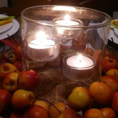 Gli Olmi Bed & Breakfast *